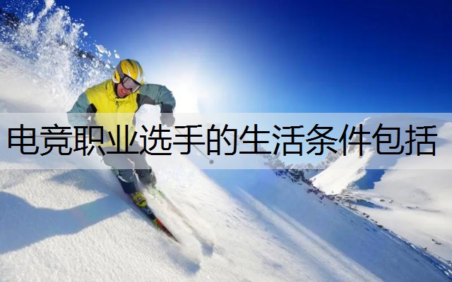电竞职业选手的生活条件包括
