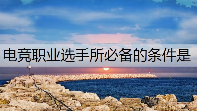 电竞职业选手所必备的条件是
