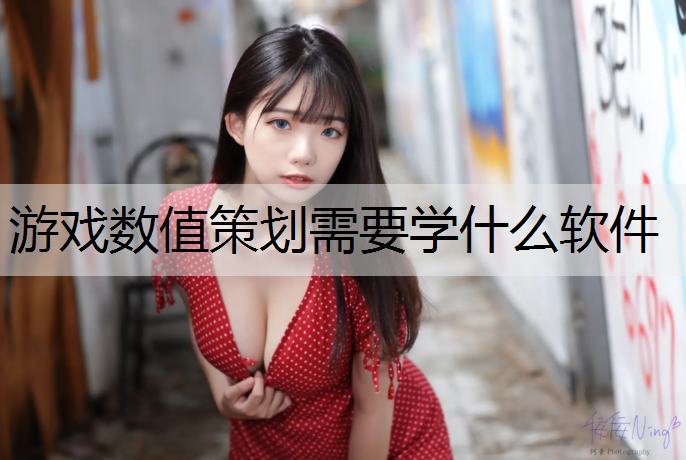 游戏数值策划需要学什么软件
