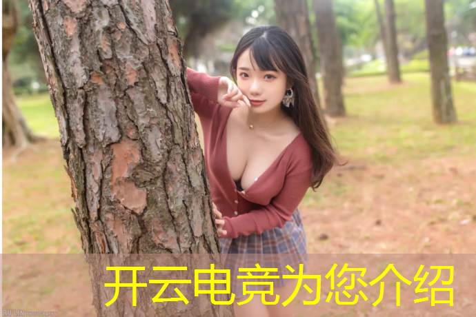 kaiyun·开云电竞为您介绍：电竞赛事策划免费PPT