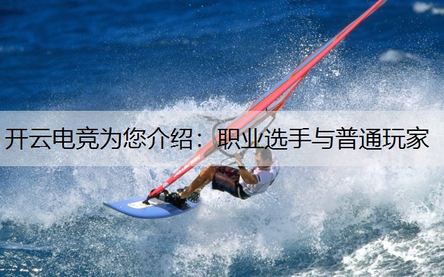 职业选手与普通玩家