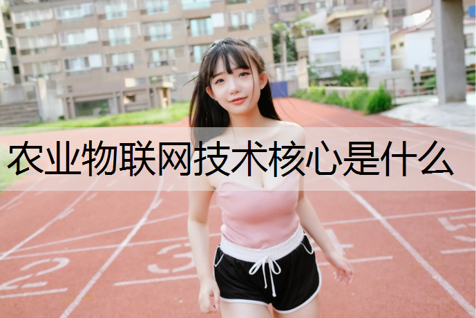 农业物联网技术核心是什么